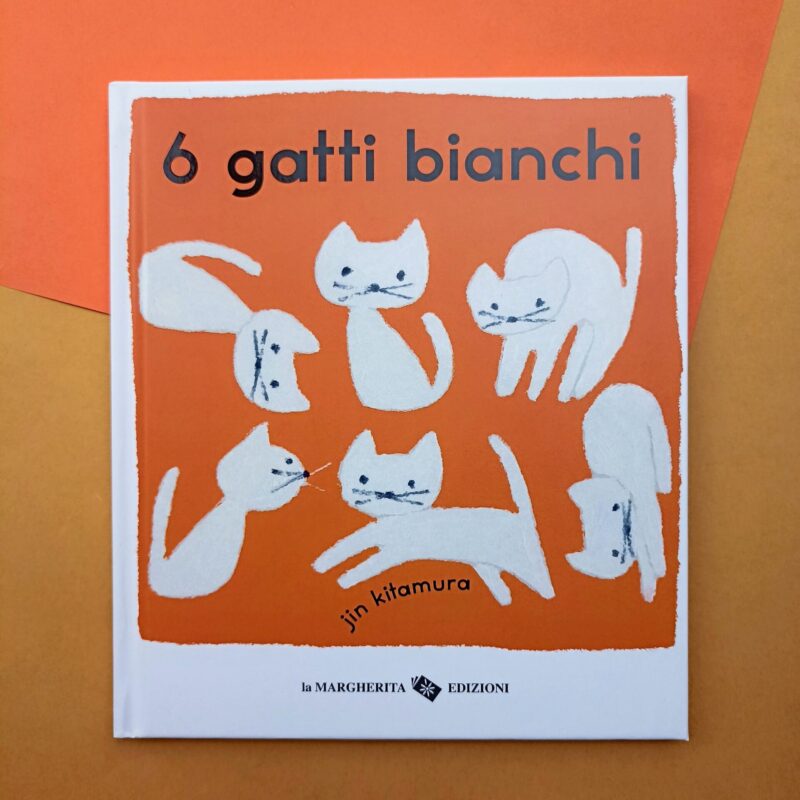 6 gatti bianchi