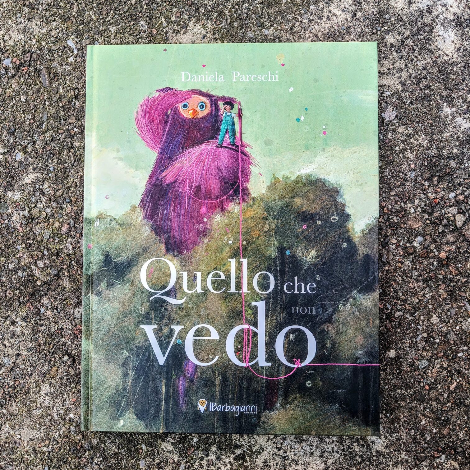 Quello che non vedo