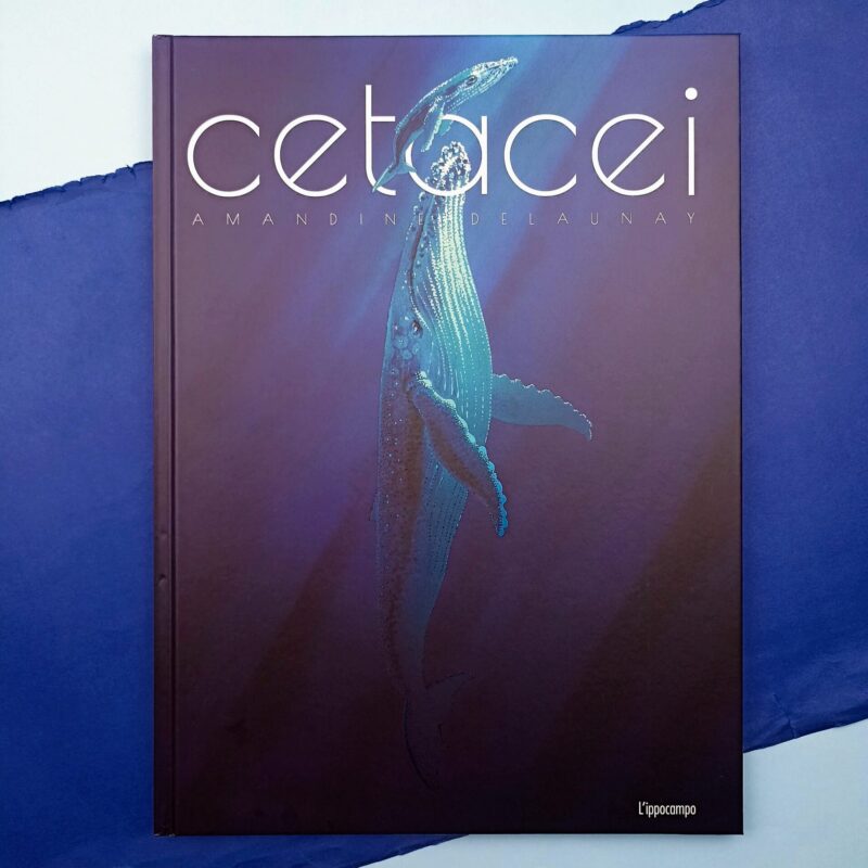 Cetacei
