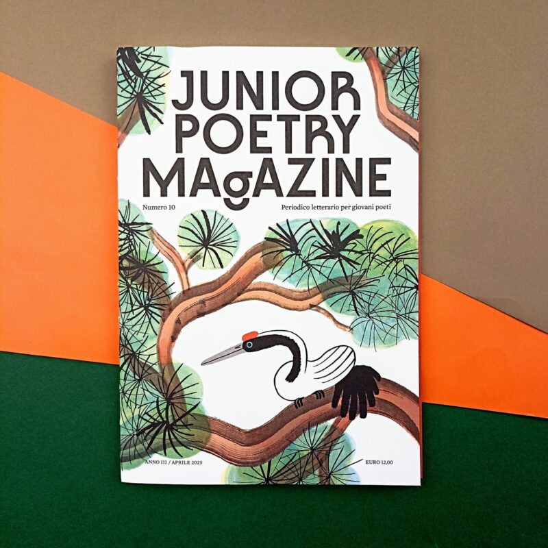 Junior Poetry Magazine N10