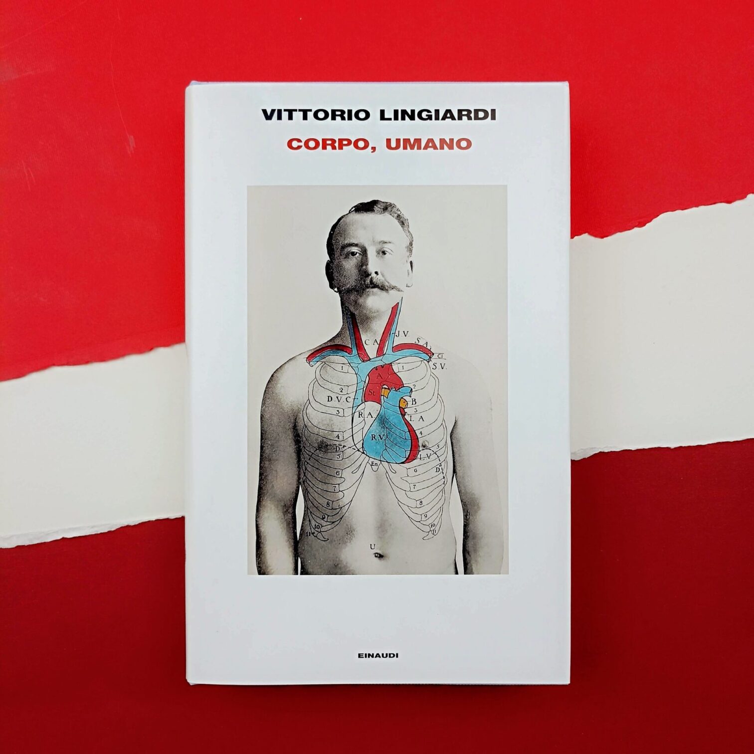 Corpo, umano