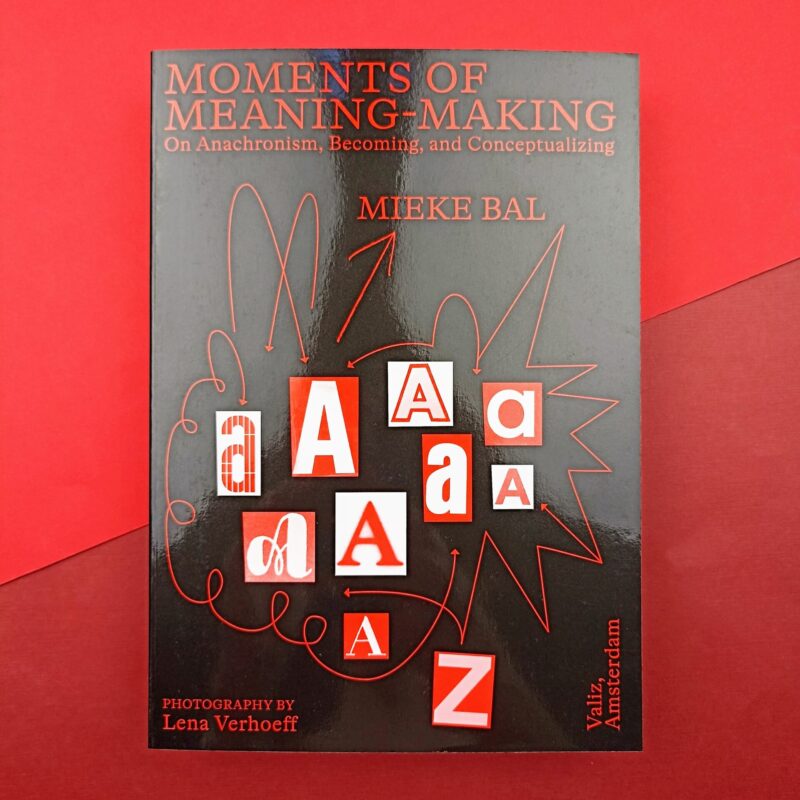 Moments of meaning-making