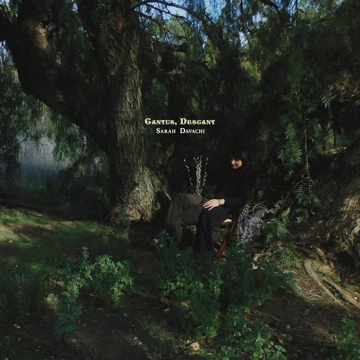 Sarah Davachi ‎– Cantus, Descant