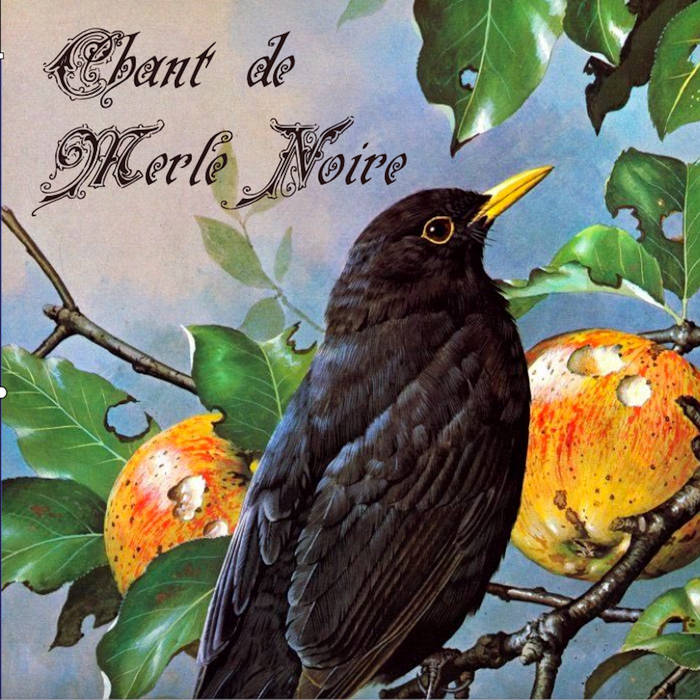 Dott.Petronilla & Marco Mastrorilli / CHANT DE MERLE NOIRE