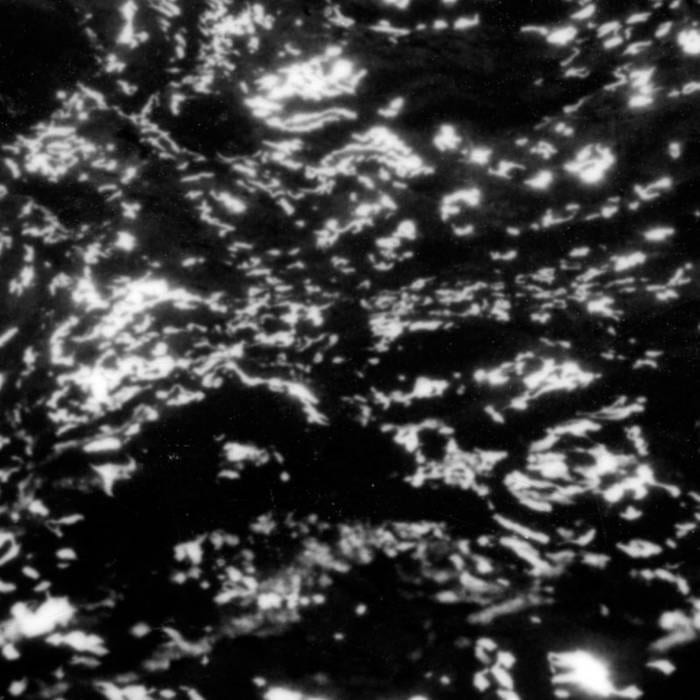 Grouper ‎/ A I A : DREAM LOSS
