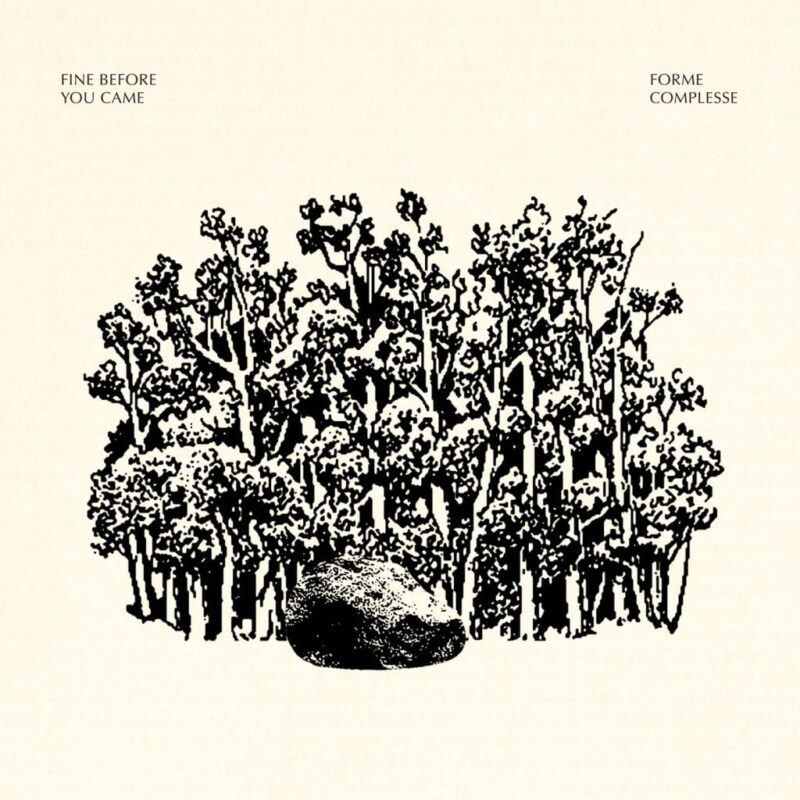 Fine Before You Came / FORME COMPLESSE