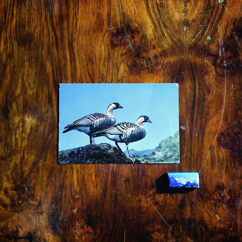 FIne Before You Came / IL NUMERO SETTE