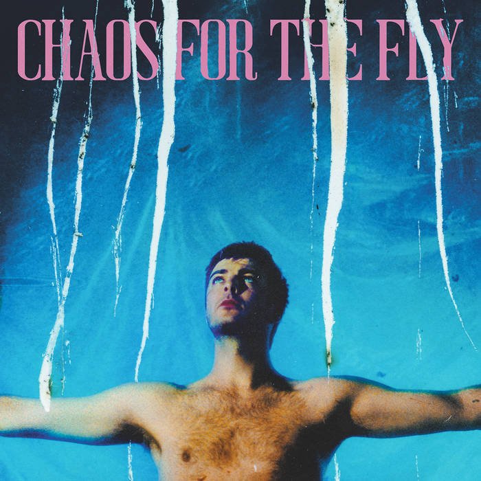 Grian Chatten / CHAOS FOR THE FLY
