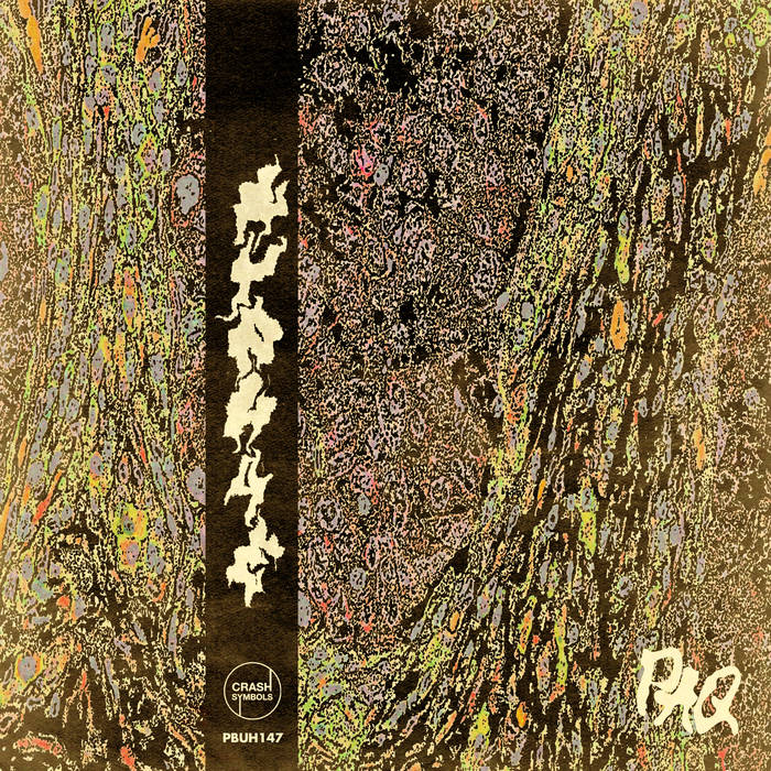 PAQ / HYPHAE