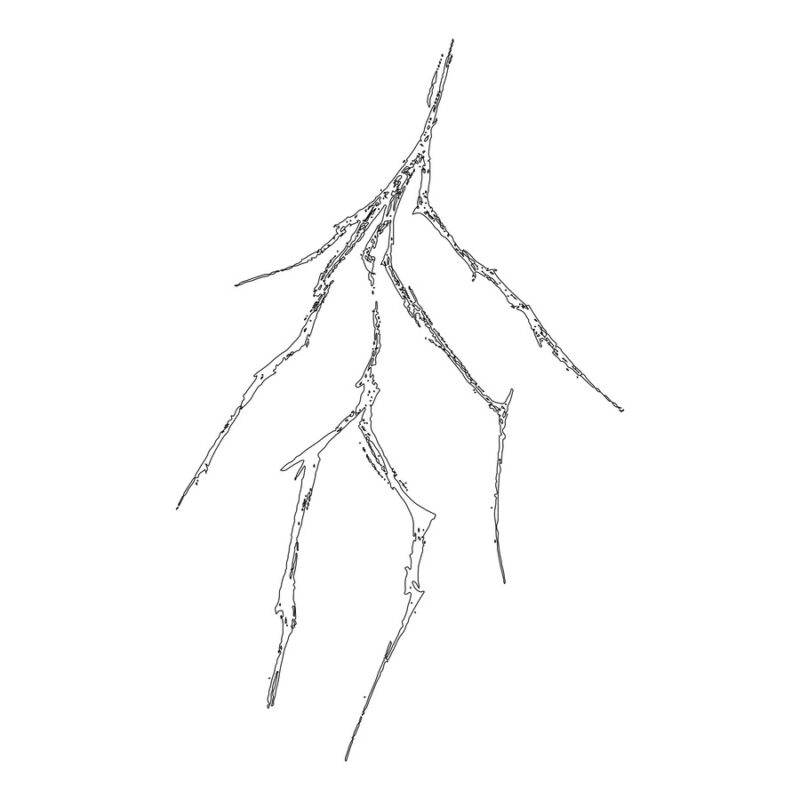 Thru Collected / IL GRANDE FULMINE