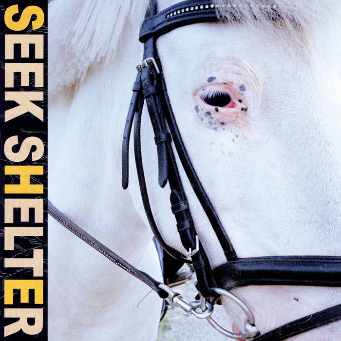 Iceage ‎/ SEEK SHELTER