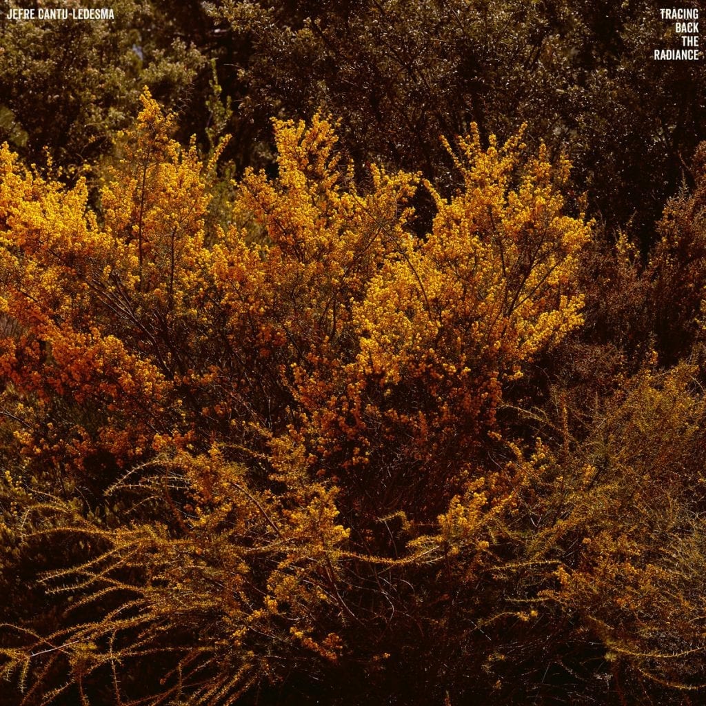 Jefre Cantu-Ledesma – Tracing Back the Radiance