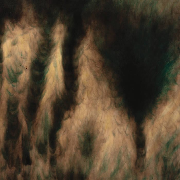 William Basinski ‎/ LAMENTATIONS