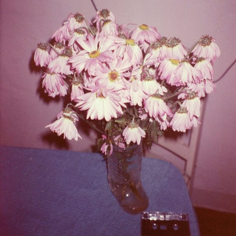 Lee Noble / THE MAN WHO BITES HIS TONGUE