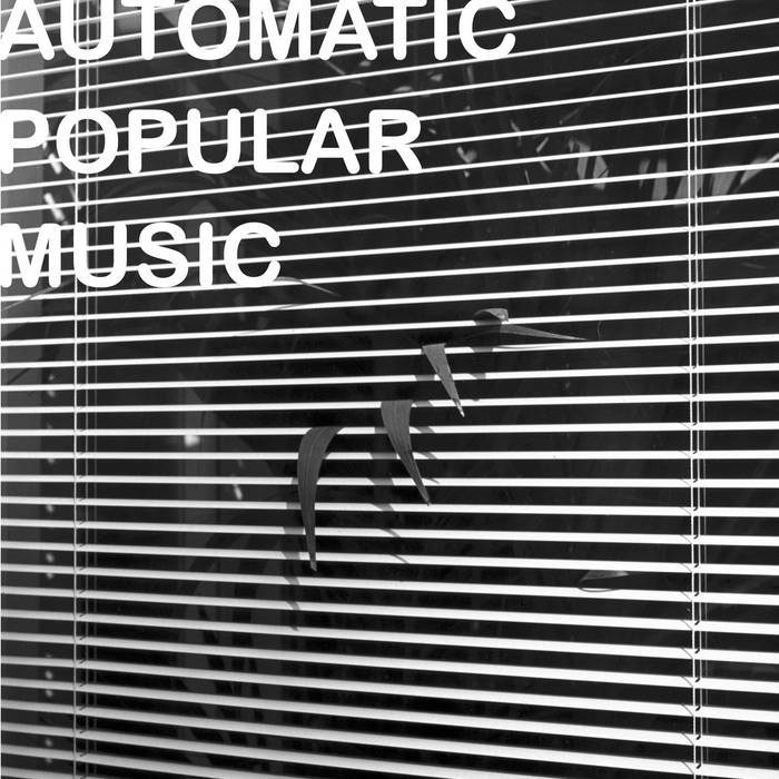 Nicola Ratti / AUTOMATIC POPULAR MUSIC