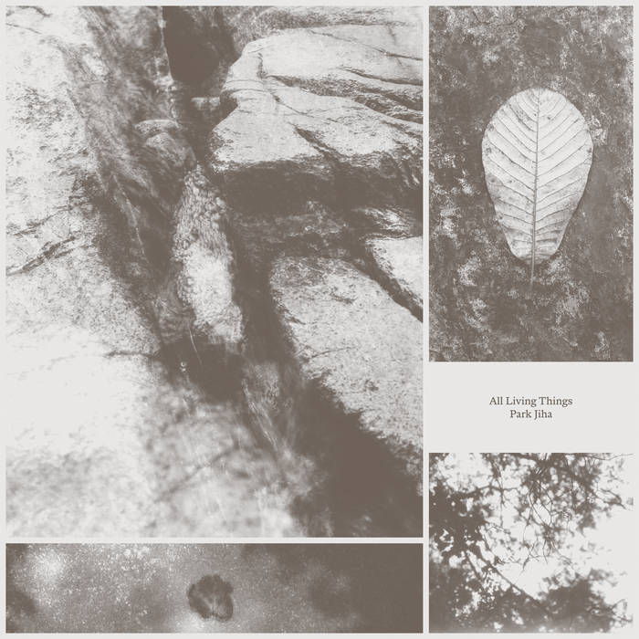 Park Jiha / ALL LIVING THINGS