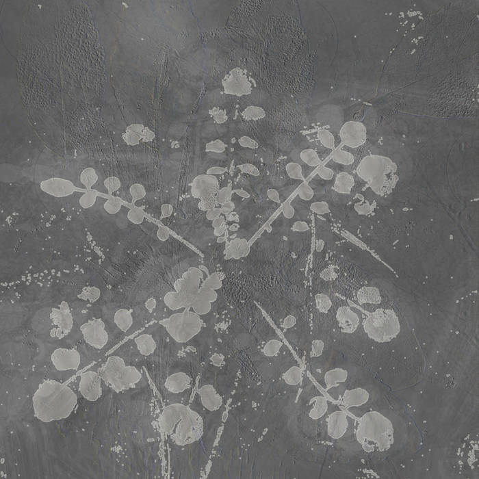 Sabla / MUSIC FOR MELTED FLOORS