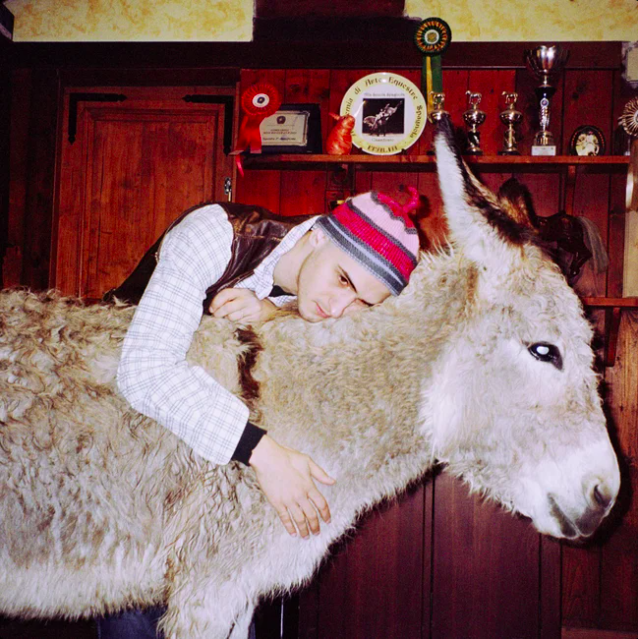 Generic Animal / IL CANTO DELL’ASINO