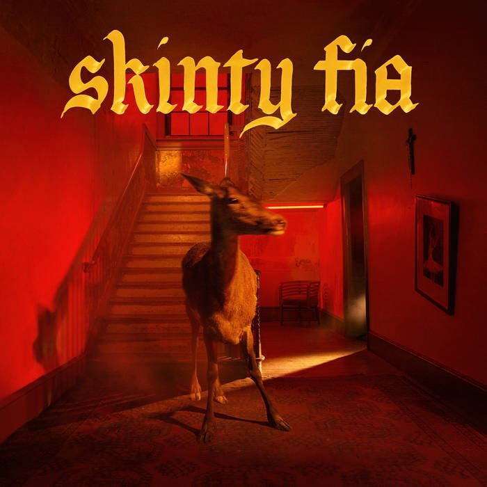 Fontaines D.C. / SKINTY FIA