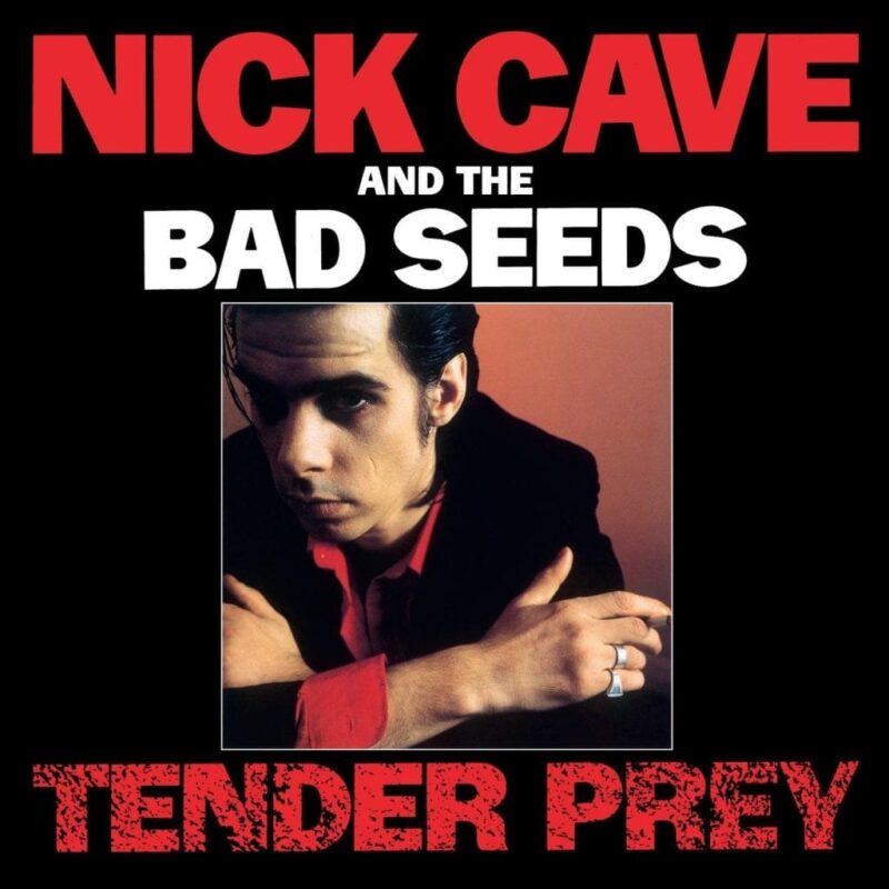 Nick Cave And The Bad Seeds / TENDER PREY
