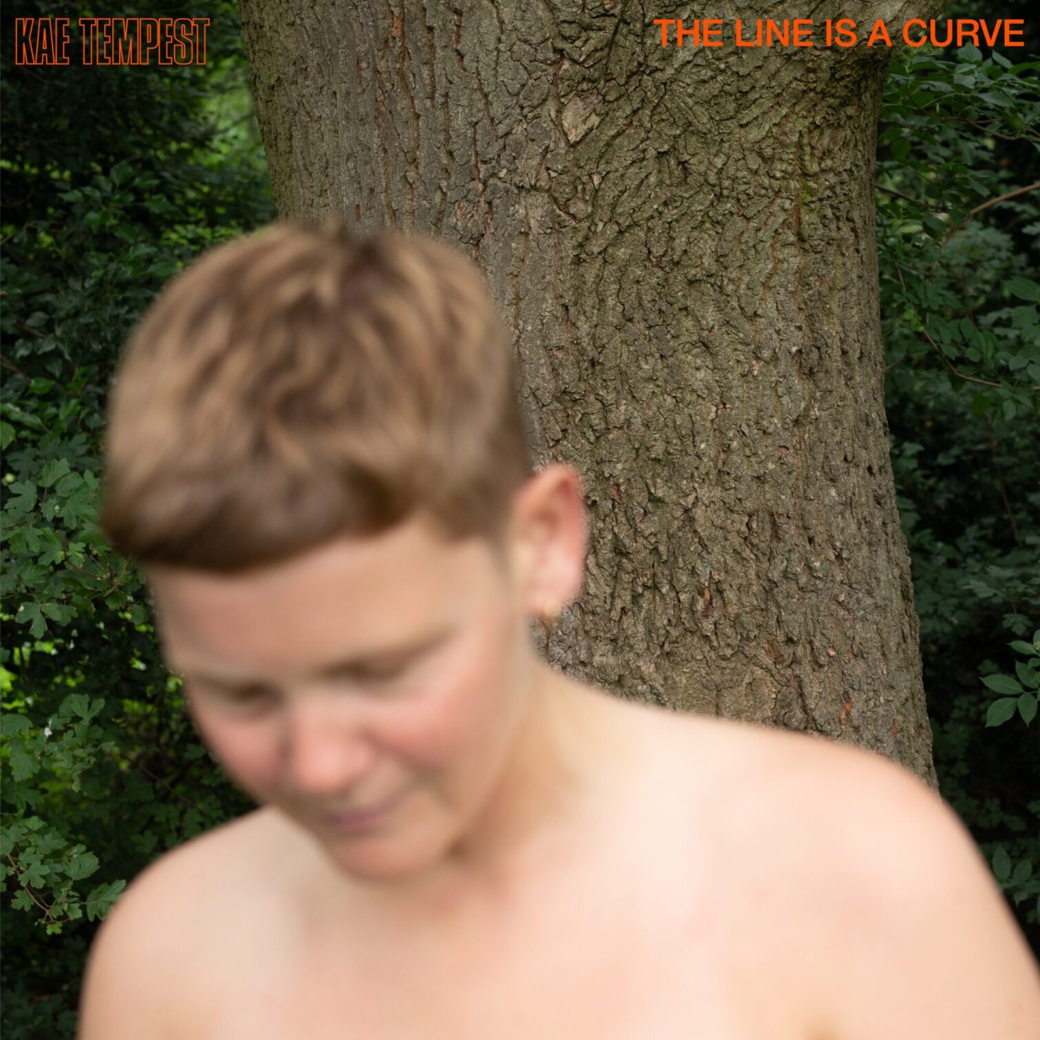 Kae Tempest / THE LINE IS A CURVE