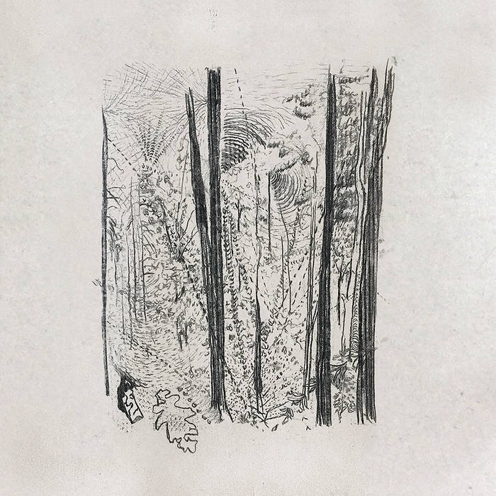 Timber Rattle/ GHOST OR WHITE PAVILION