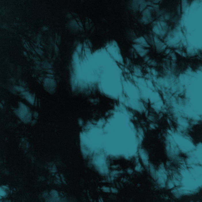 VOM / ENTITY ATTACHMENT