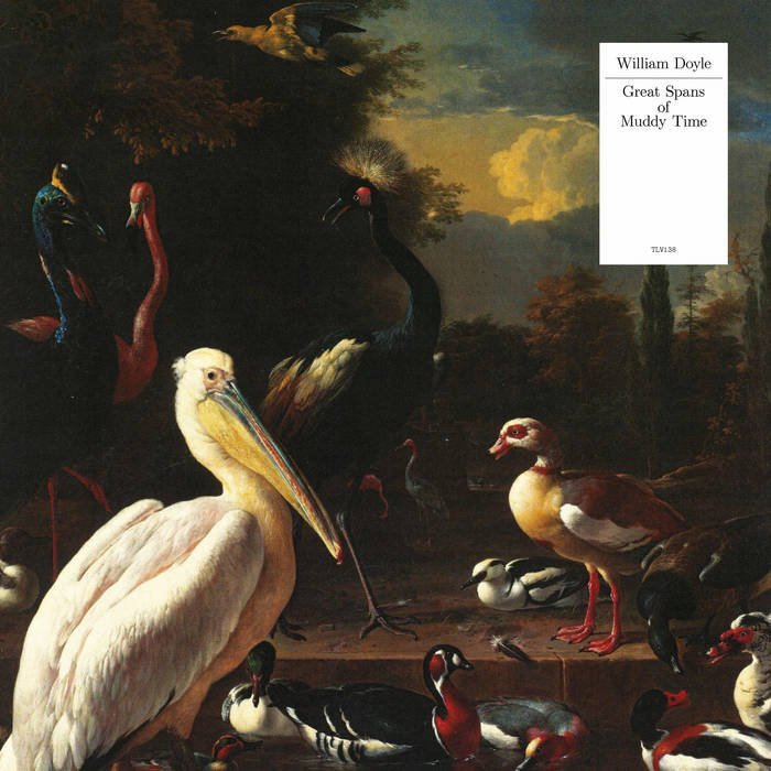 William Doyle / GREAT SPANS OF MUDDY TIME