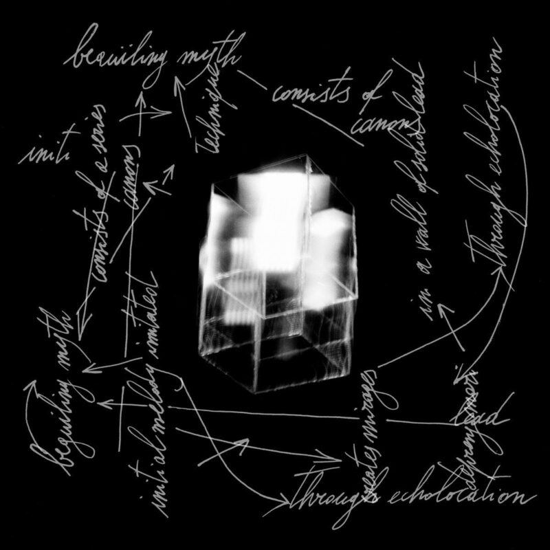 Andrea Belfi / ETERNALLY FROZEN