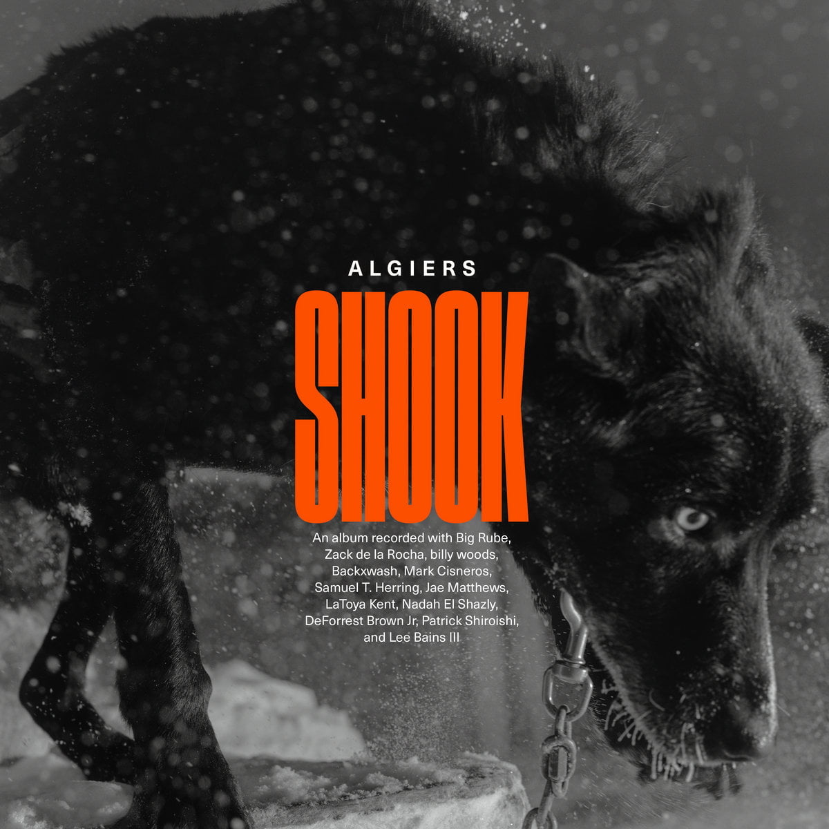 Algiers / SHOOK