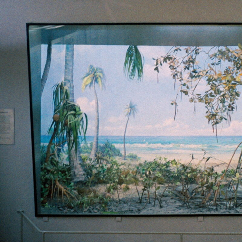 Nikolaienko / NOSTALGIA POR MESOZÓICA