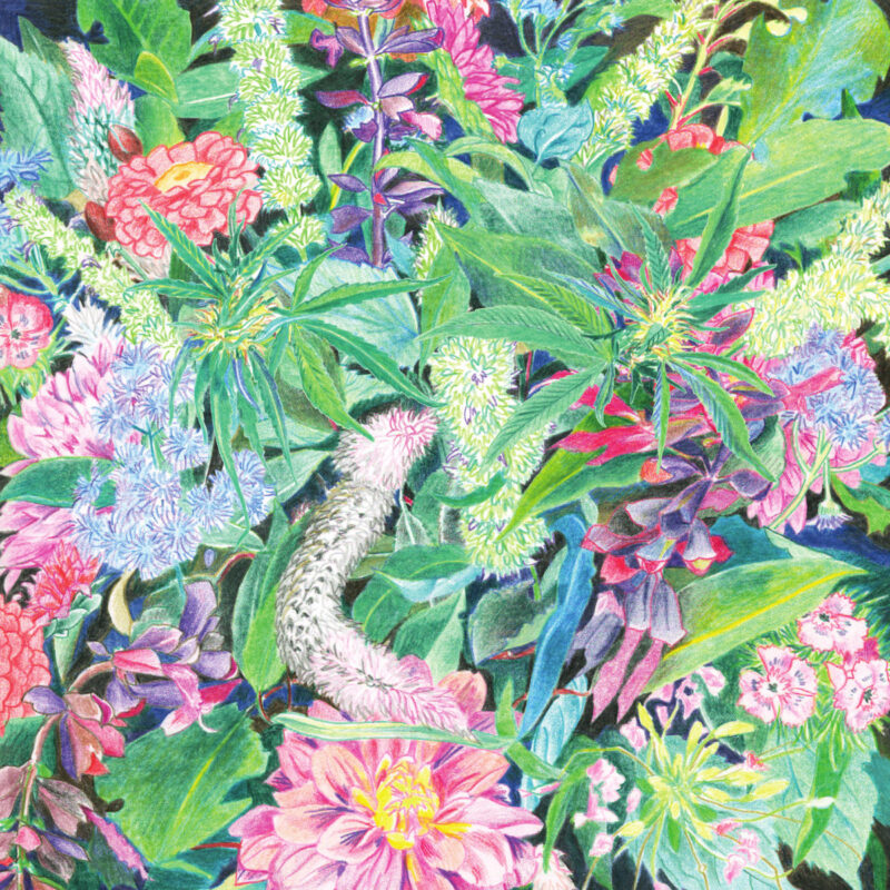 Light-Space Modulator / THE RISING WAVE