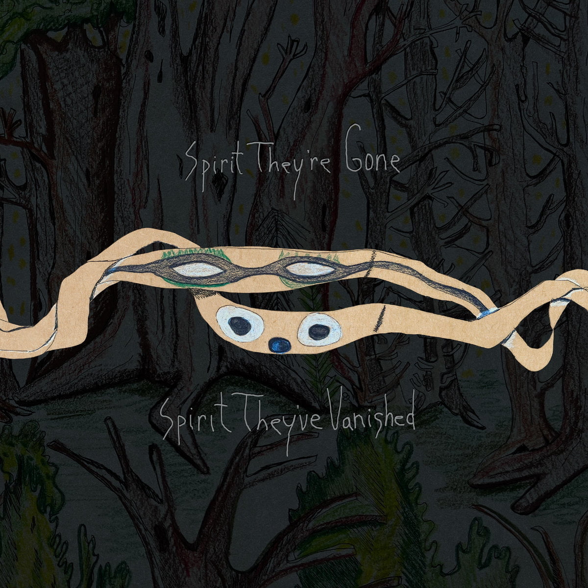 Animal Collective / SPIRIT THEY’RE GONE, SPIRIT THEY’VE VANISHED