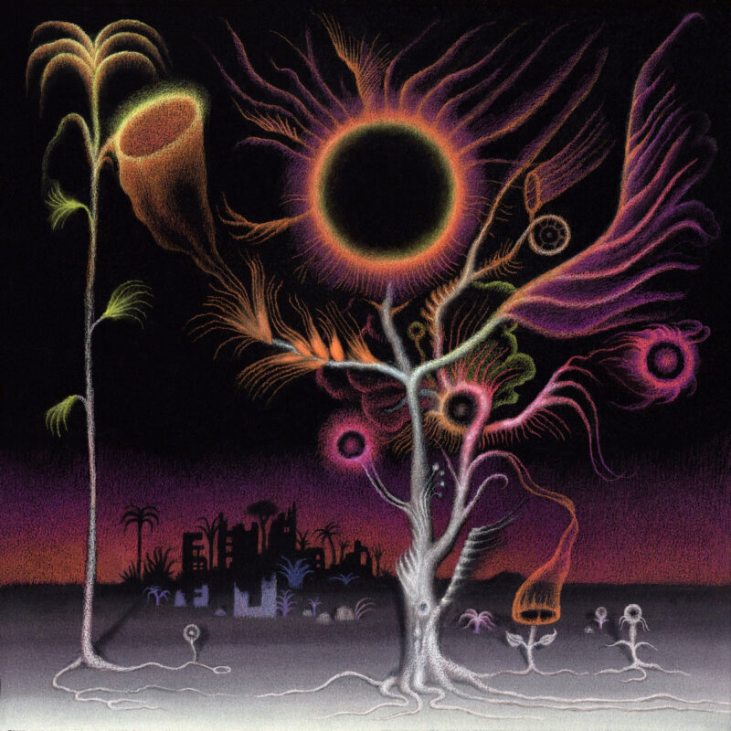 Laura Agnusdei / FLOWERS ARE BLOOMING IN ANTARCTICA