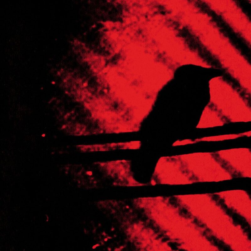 The Silver Mt. Zion Memorial Orchestra & Tra-la-la Band / BORN INTO TROUBLE AS THE SPARKS FLY UPWARD