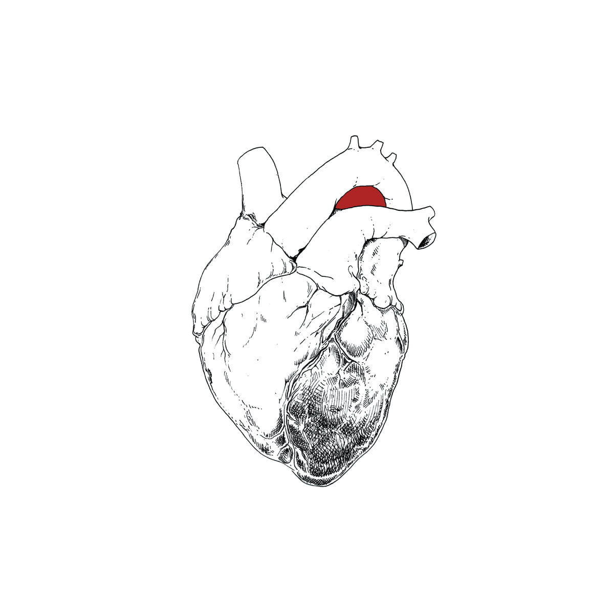Swans / THE BEGGAR