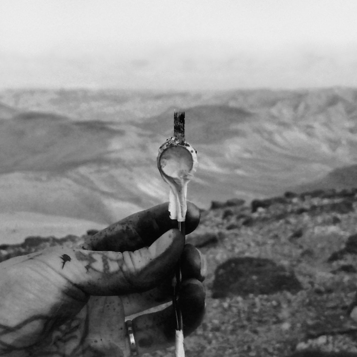 Body of Reverbs / JUDAEAN DESERT