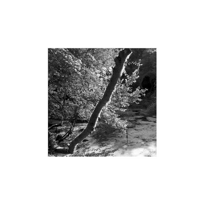 Maurizio Abate & Luca Venitucci / PEACE AND PLEASURE
