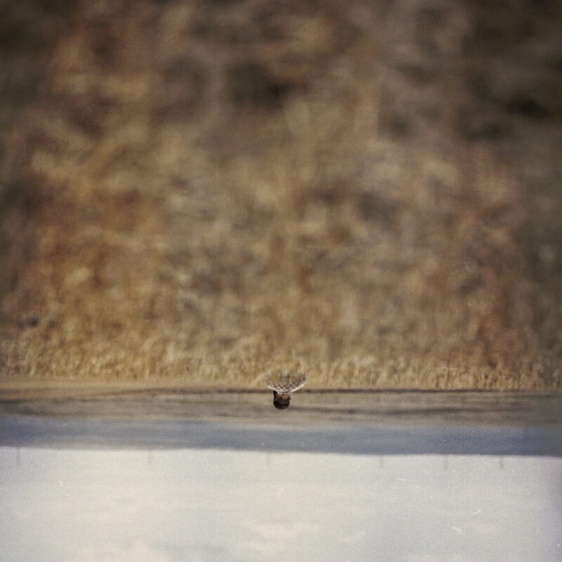 Jim O’ Rourke / HANDS THAT BIND ost