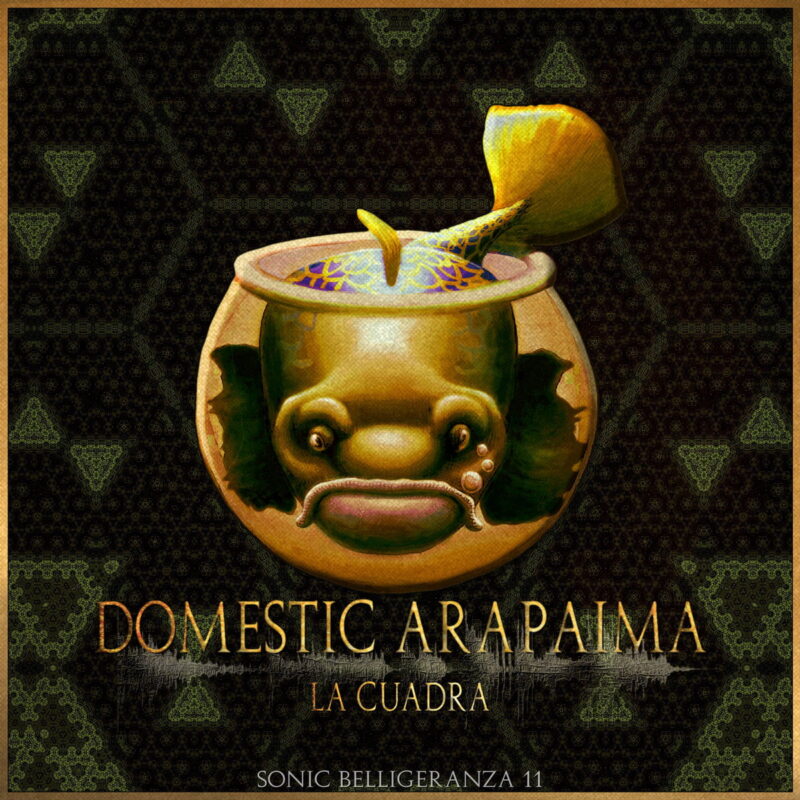 Domestic Arapaima / LA CUADRA