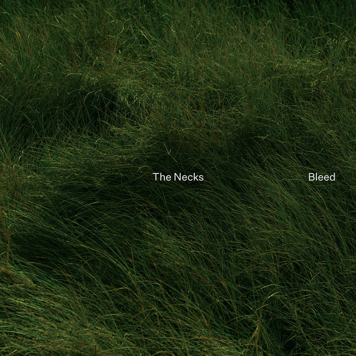 The Necks / BLEED