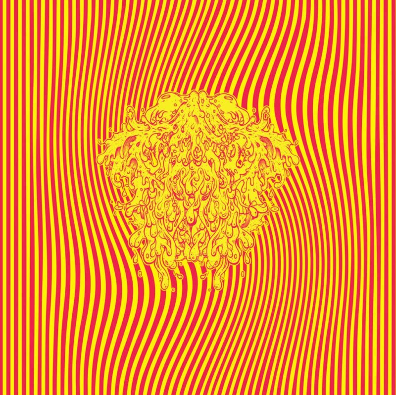 dUASsEMIcOLCHEIASiNVERTIDAS​ – Parpar