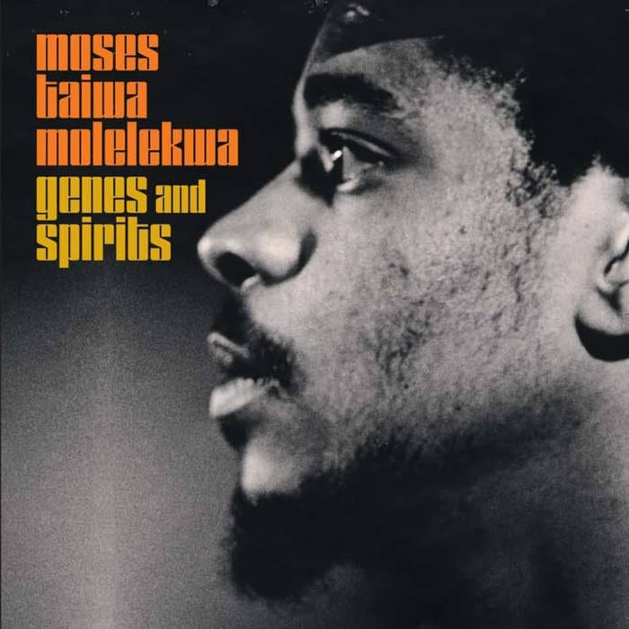 Moses Taiwa Molelekwa ‎– Genes and Spirits