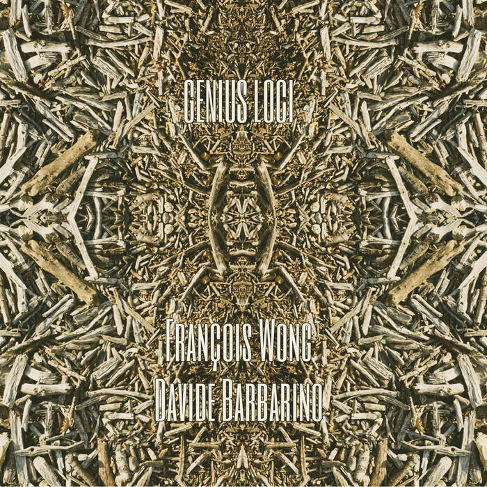 Frančois Wong – Davide Barbarino / GENIUS LOGI