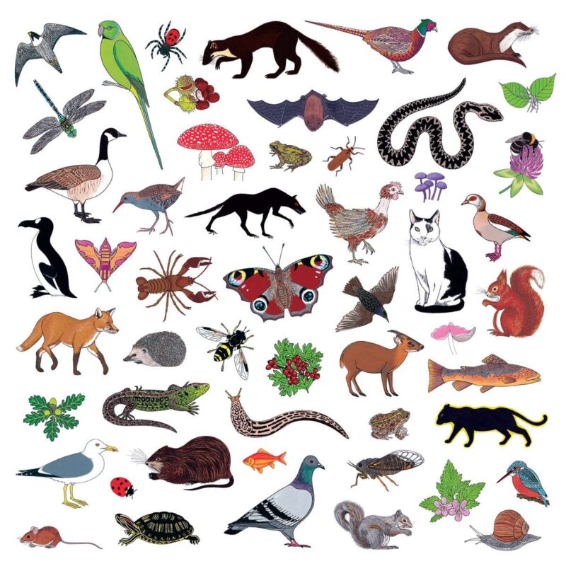 Modern Nature / ISLAND OF NOISE