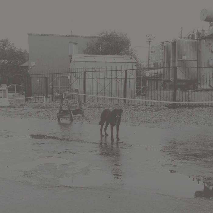 Nivhek ‎– After Its Own Death / Walking In A Spiral Towards The House