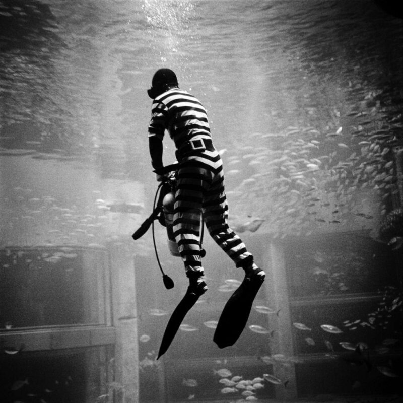 Norberto Lobo – Estrela