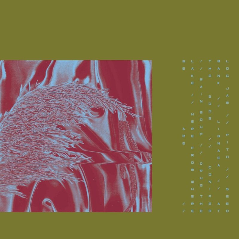 Pariah – Here From Where We Are