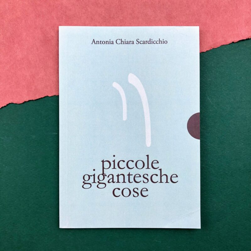 Piccole gigantesche cose