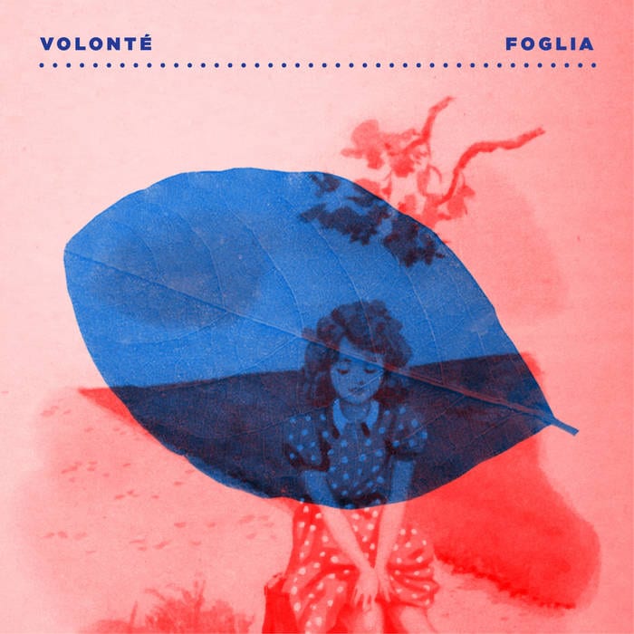 VOLONTÉ / Foglia/Confetti